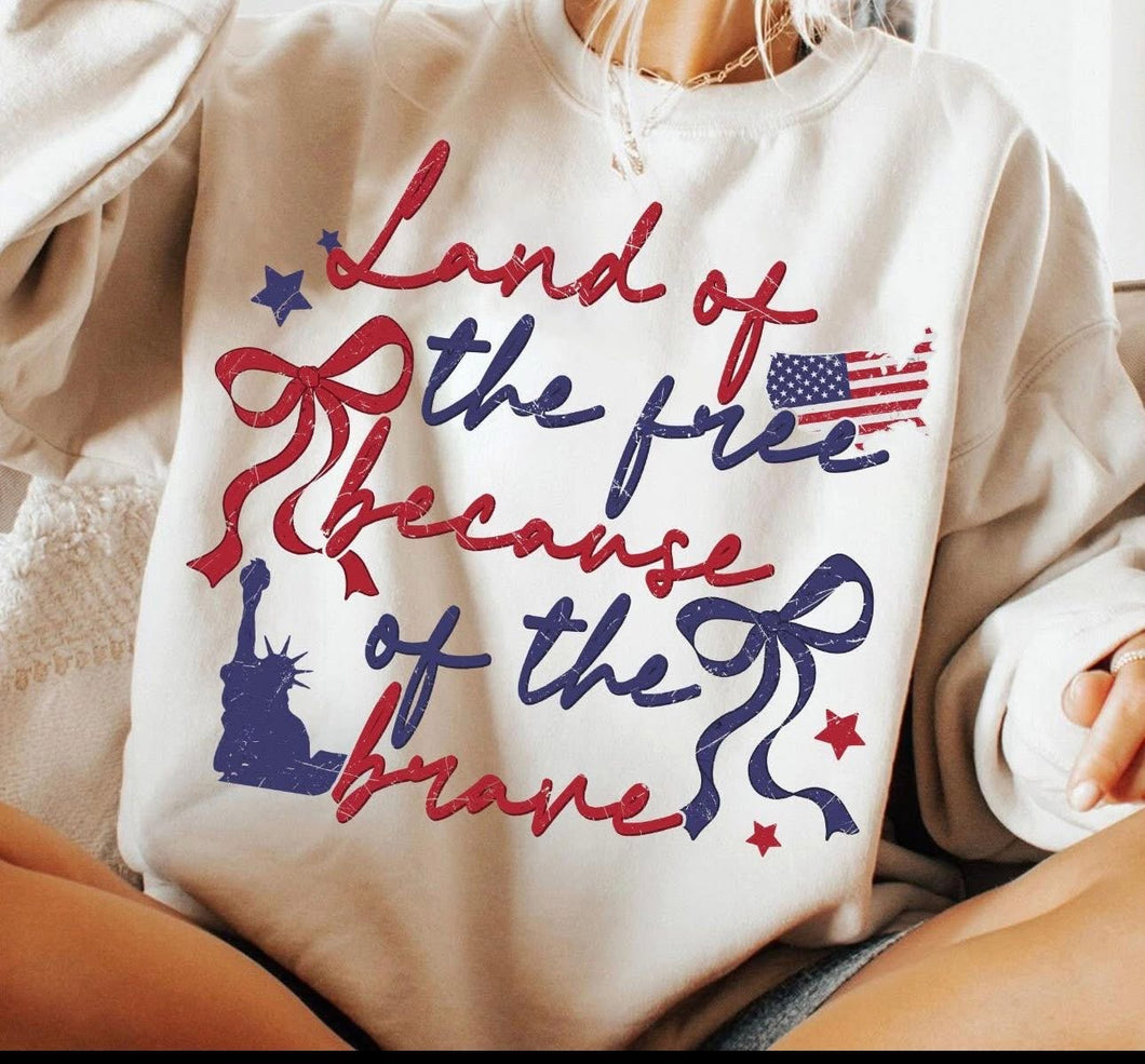 Land of the Free Liberty